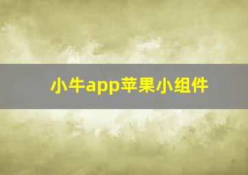 小牛app苹果小组件