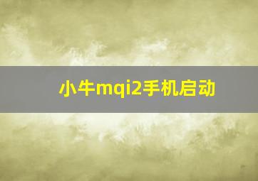 小牛mqi2手机启动