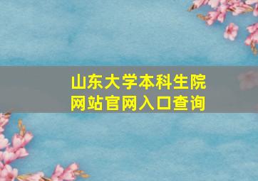 山东大学本科生院网站官网入口查询