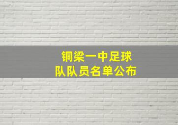 铜梁一中足球队队员名单公布