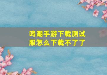 鸣潮手游下载测试服怎么下载不了了